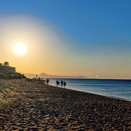 Sunny Denia Apartment 4U - Mar Baltic 5 외부 사진